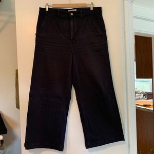 Everlane Wide Leg Crop in Navy